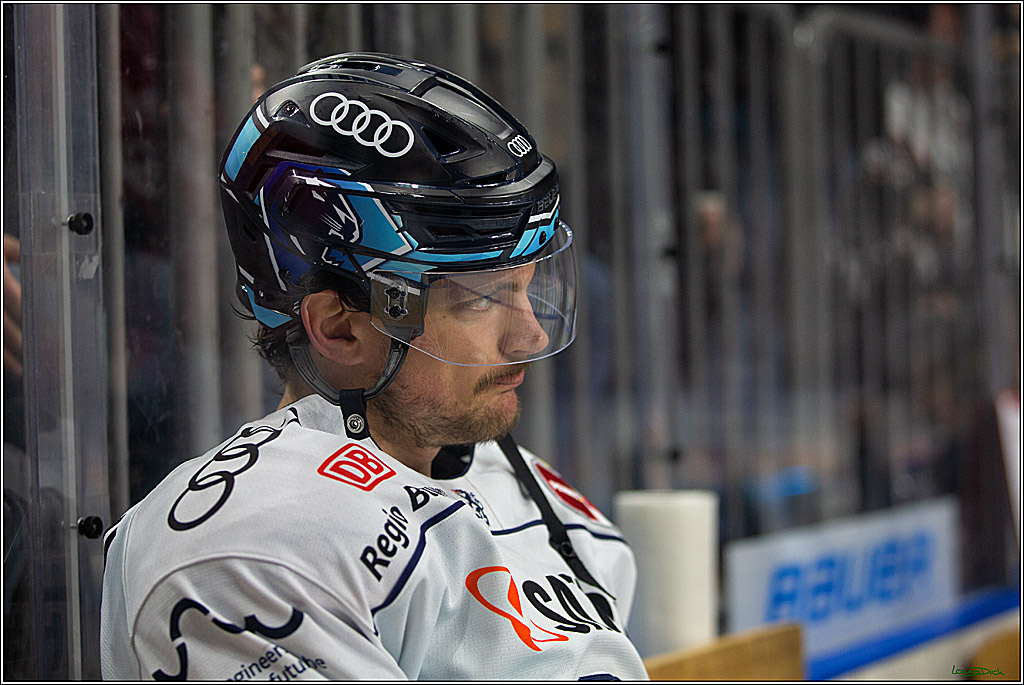 PENNY DEL;  Kölner Haie - ERC Ingolstadt; Köln, 25.11.2022